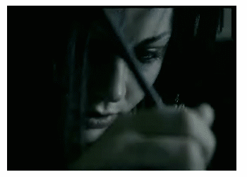 Evanescence : Fallen